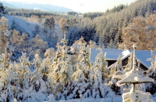 Hotel Sunrise House Inverfarigaig Zewnętrze zdjęcie